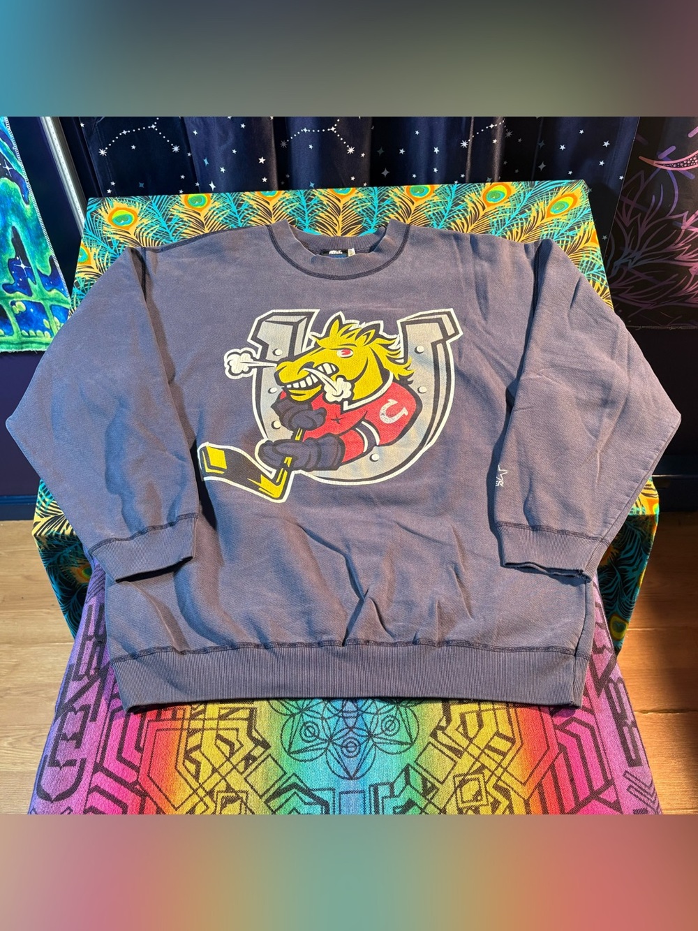 Vintage 90s Barrie Colts Starter Sweatshirt